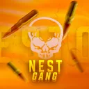 NEST DIVISION