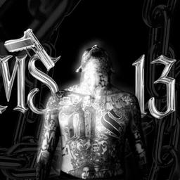 ms13