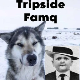 Tripside