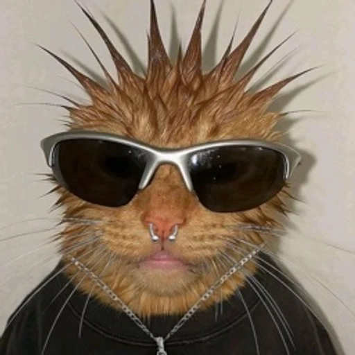 Chris