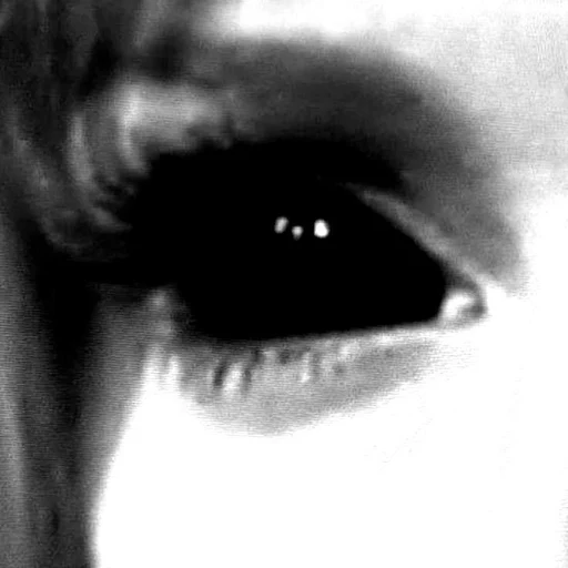 shadow